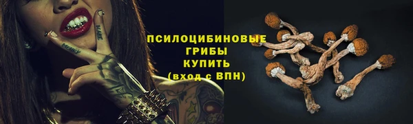 ГАЛЛЮЦИНОГЕННЫЕ ГРИБЫ Беломорск
