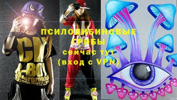 a pvp Белоозёрский