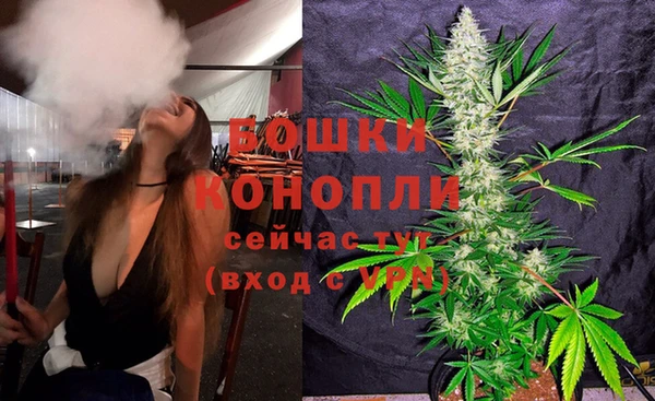 метадон Белокуриха