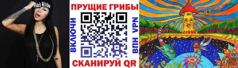 Псилоцибиновые грибы Psilocybe  kraken онион  Волжск 