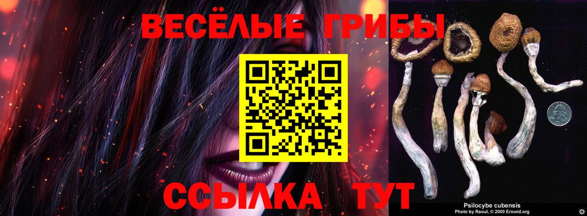Псилоцибиновые грибы Psilocybine cubensis Волжск